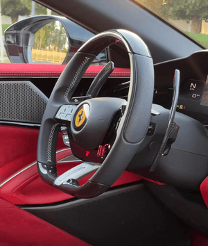 FerrariPurosangu2024-9